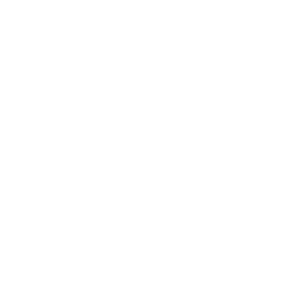 Selby Lane Capital